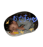hapipa（個別スタンプ：1）