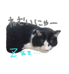 我が家のボス 2（個別スタンプ：7）