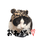 我が家のボス 2（個別スタンプ：14）
