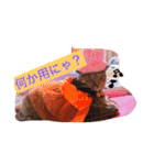 サビ猫ぽちゃの日常スタンプ（個別スタンプ：5）
