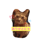 サビ猫ぽちゃの日常スタンプ（個別スタンプ：15）
