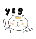 Chubby Cat MaoMao V1（個別スタンプ：15）