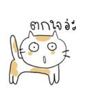 Chubby Cat MaoMao V1（個別スタンプ：22）