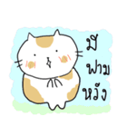 Chubby Cat MaoMao V1（個別スタンプ：30）
