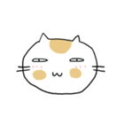 Chubby Cat MaoMao V1（個別スタンプ：37）