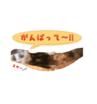 みんなのアイドル！チョコビのスタンプ（個別スタンプ：6）