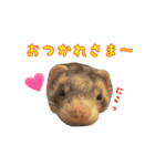 みんなのアイドル！チョコビのスタンプ（個別スタンプ：7）