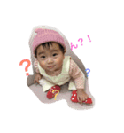 rinotan3（個別スタンプ：1）