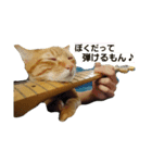 我が家の虎徹さん（個別スタンプ：4）