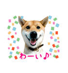 ごきげんよう！レンココカンカン（個別スタンプ：14）