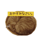 coco2017（個別スタンプ：8）