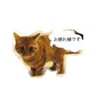 coco2017（個別スタンプ：11）