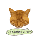 coco2017（個別スタンプ：14）