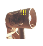 coco2017（個別スタンプ：15）