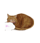 coco2017（個別スタンプ：18）