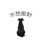 Dachshund GO（個別スタンプ：26）