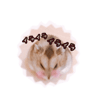 まんまるハムハム（個別スタンプ：4）