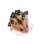 まんまるハムハム（個別スタンプ：6）
