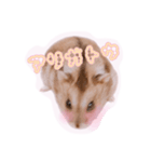 まんまるハムハム（個別スタンプ：7）