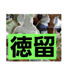 徳留（個別スタンプ：2）