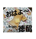 徳留（個別スタンプ：16）