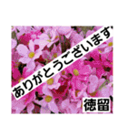 徳留（個別スタンプ：20）