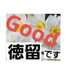 徳留（個別スタンプ：22）