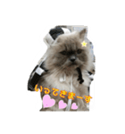 ねこにゃんとねこにゃん（個別スタンプ：5）