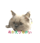 ねこにゃんとねこにゃん（個別スタンプ：8）