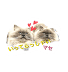 ねこにゃんとねこにゃん（個別スタンプ：9）
