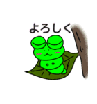アオムシ いと君（個別スタンプ：19）