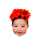 マシュ麻呂ちゃん日記（個別スタンプ：1）
