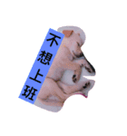It is a small fart Meng Meng（個別スタンプ：2）