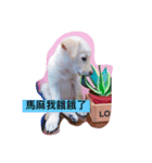It is a small fart Meng Meng（個別スタンプ：3）