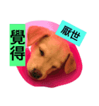 It is a small fart Meng Meng（個別スタンプ：4）