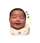 AOISTAMPaoistamp（個別スタンプ：1）