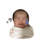 AOISTAMPaoistamp（個別スタンプ：12）