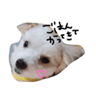 ベルの日常会話（個別スタンプ：2）