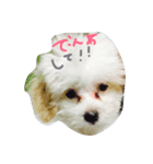 ベルの日常会話（個別スタンプ：3）