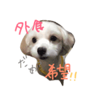 ベルの日常会話（個別スタンプ：8）
