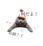 平山家の動物（個別スタンプ：4）