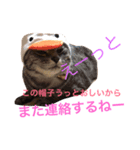 平山家の動物（個別スタンプ：7）