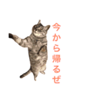 平山家の動物（個別スタンプ：8）