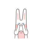 Cute rabbit dduni（個別スタンプ：6）