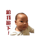 PUPUHAHA（個別スタンプ：24）