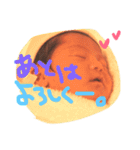 achitam（個別スタンプ：14）