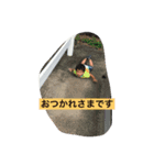 うちの男たち（個別スタンプ：2）