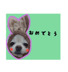 うちのペット 日常会話（個別スタンプ：2）