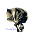 RikuOdin（個別スタンプ：12）