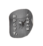 おからさんです（ねこ）。（個別スタンプ：19）